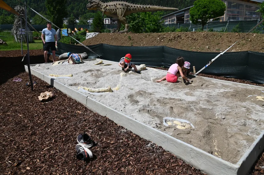 Image du bac de fouille pour les apprentis archéologues - Dinoworld Expo
