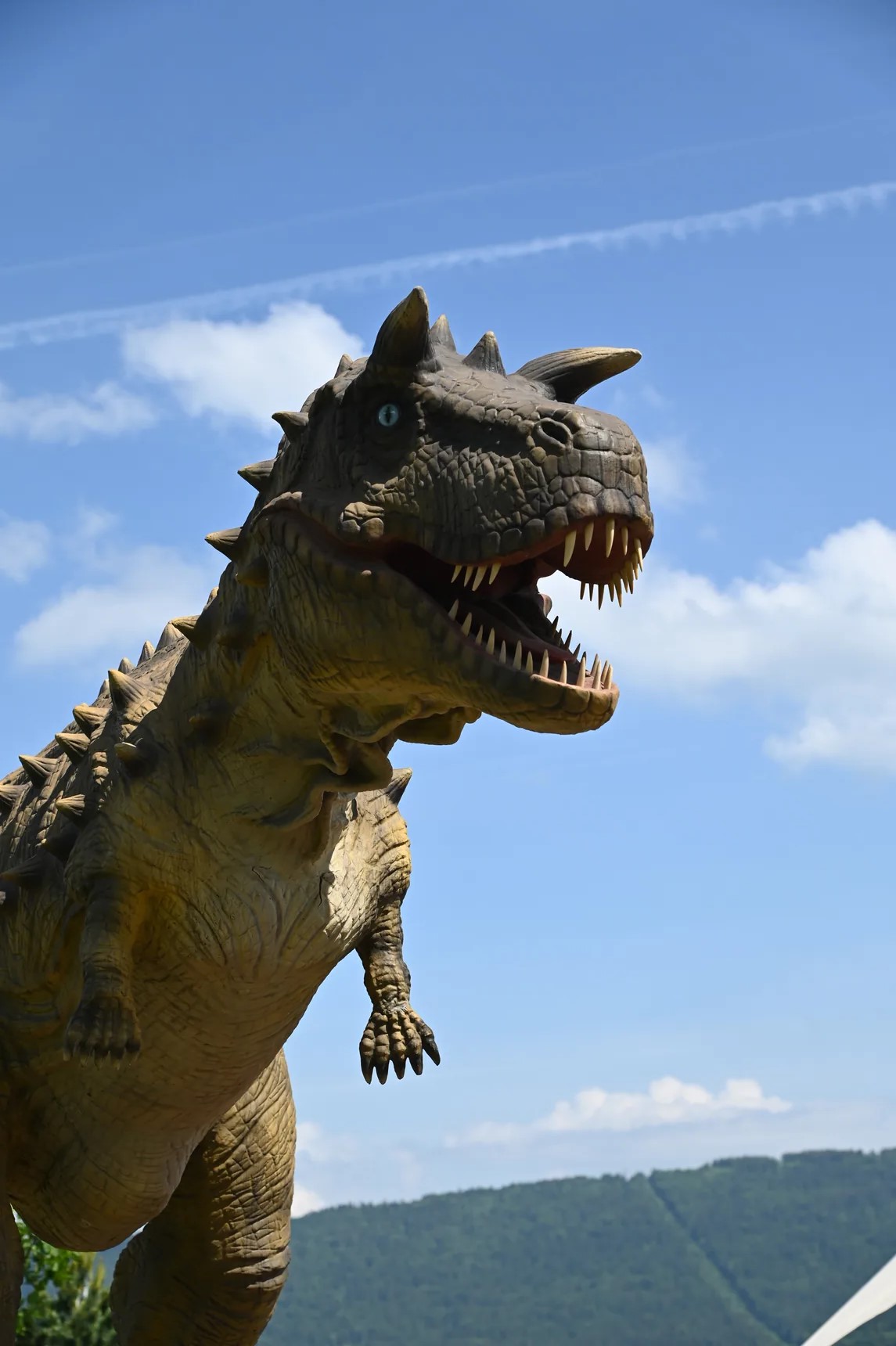 Organisez votre visite